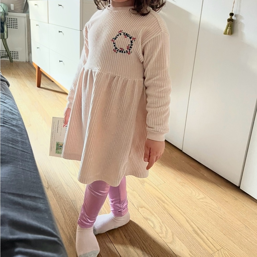 Zara soft Pink Ribbed Velvet Dress Long Sleeve Size 5